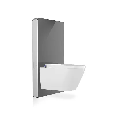 electronic bidet toilet seat