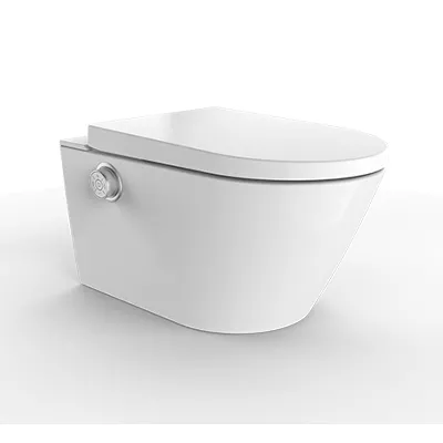electronic bidet toilet seat
