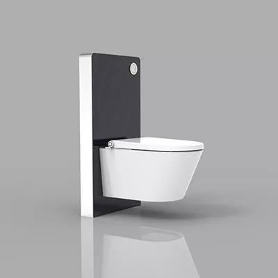 electronic bidet toilet seat