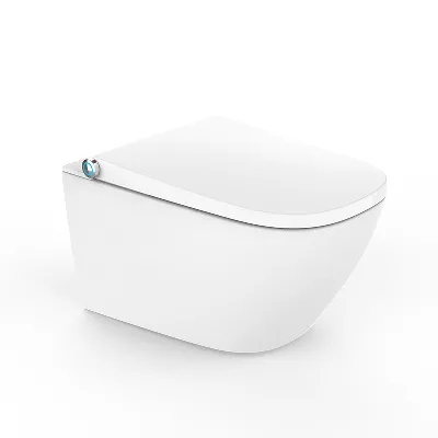 electronic bidet toilet seat