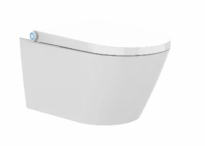 electronic bidet toilet seat