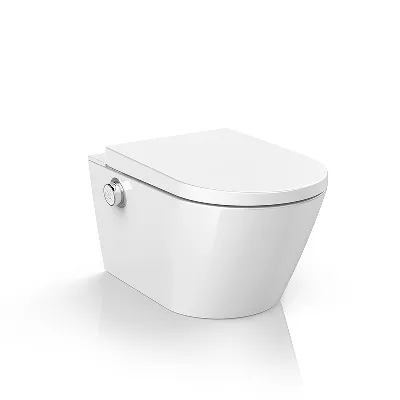 electronic bidet toilet seat