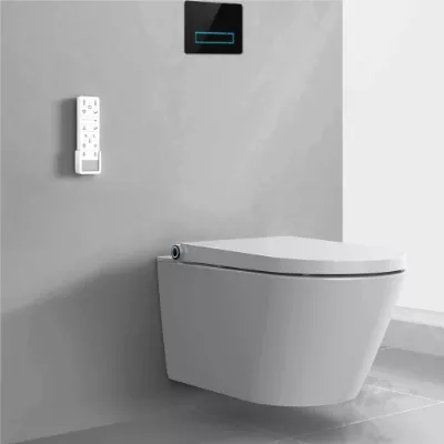 electronic bidet toilet seat