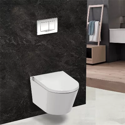 electronic bidet toilet seat