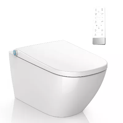electronic bidet toilet seat