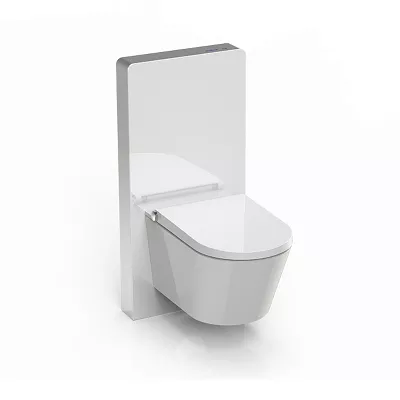 electronic bidet toilet seat