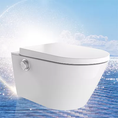 electronic bidet toilet seat