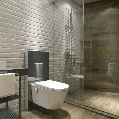 electronic bidet toilet seat