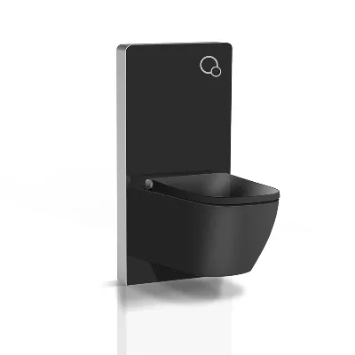 electronic bidet toilet seat