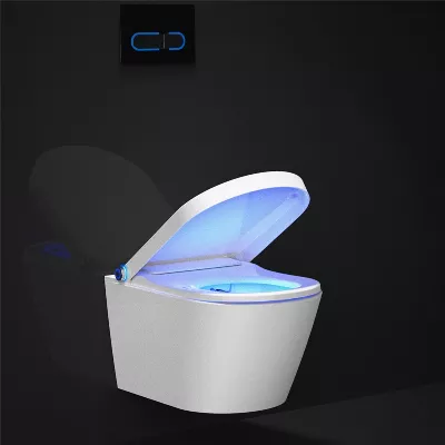 electronic bidet toilet seat