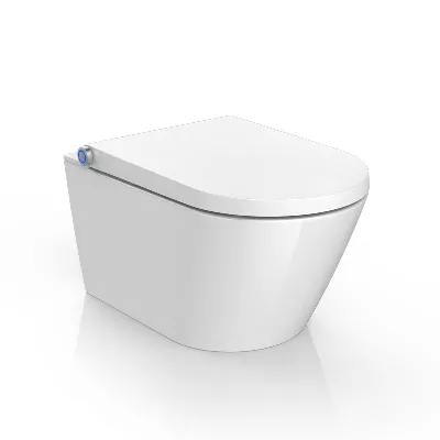 electronic bidet toilet seat