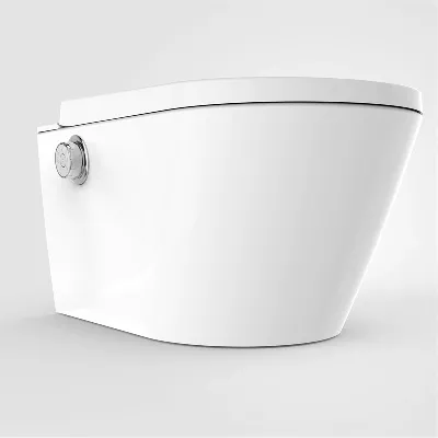 electronic bidet toilet seat