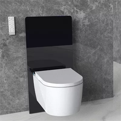 electronic bidet toilet seat