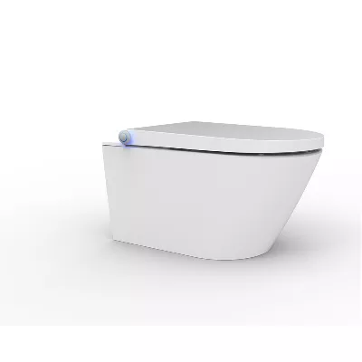 electronic bidet toilet seat