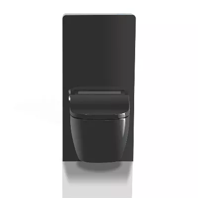 electronic bidet toilet seat