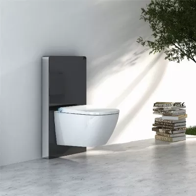electronic bidet toilet seat