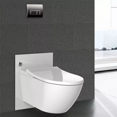 electronic bidet toilet seat