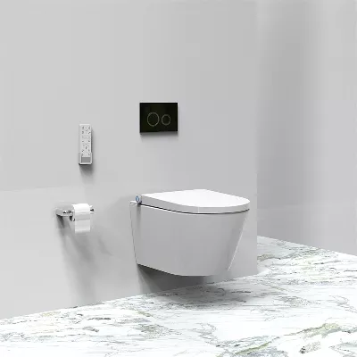 electronic bidet toilet seat