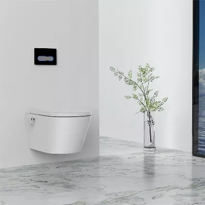 electronic bidet toilet seat