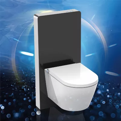 electronic bidet toilet seat