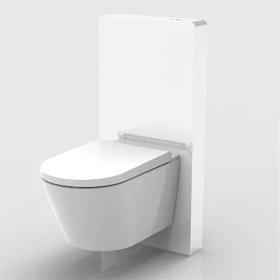 electronic bidet toilet seat