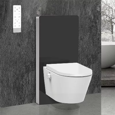 electronic bidet toilet seat