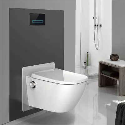 electronic bidet toilet seat