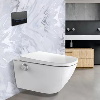 electronic bidet toilet seat