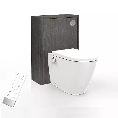 electronic bidet toilet seat
