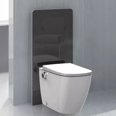 electronic bidet toilet seat