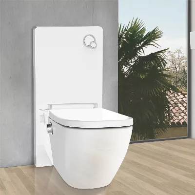 electronic bidet toilet seat