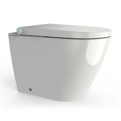 electronic bidet toilet seat