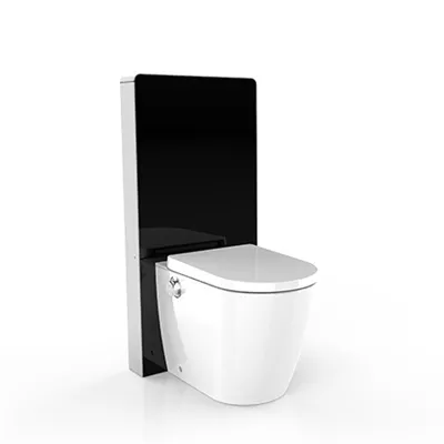 electronic bidet toilet seat