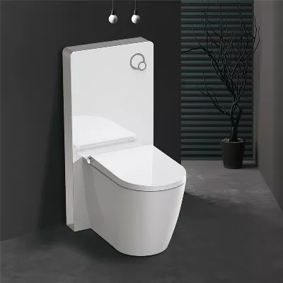 electronic bidet toilet seat