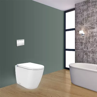 electronic bidet toilet seat