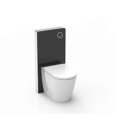 electronic bidet toilet seat