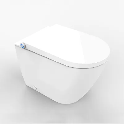 electronic bidet toilet seat