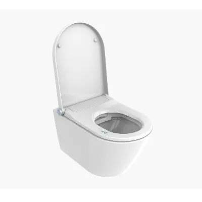 electronic bidet toilet seat