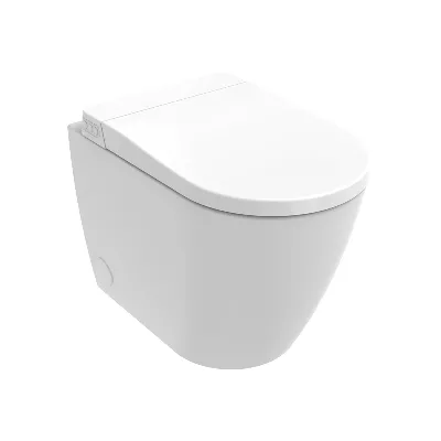 electronic bidet toilet seat