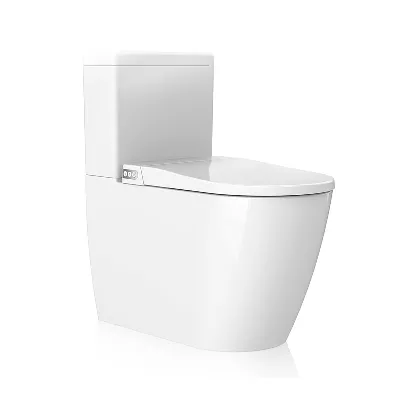electronic bidet toilet seat
