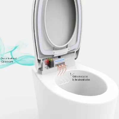 electronic bidet toilet seat