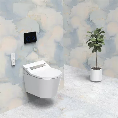 electronic bidet toilet seat