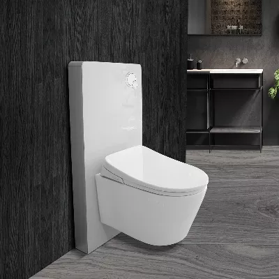 electronic bidet toilet seat