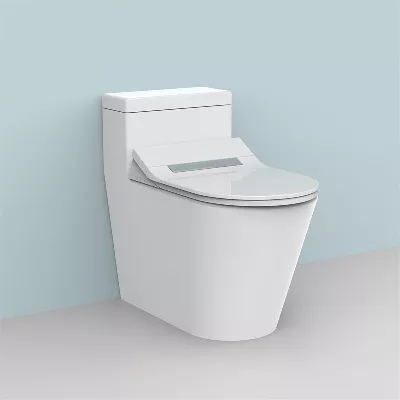 electronic bidet toilet seat