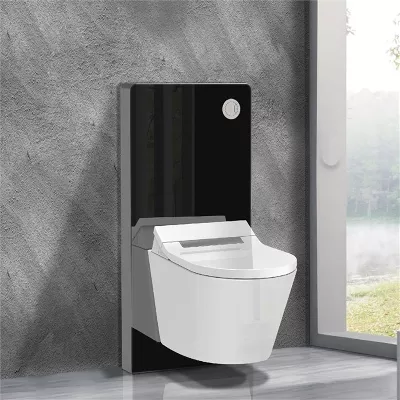 electronic bidet toilet seat