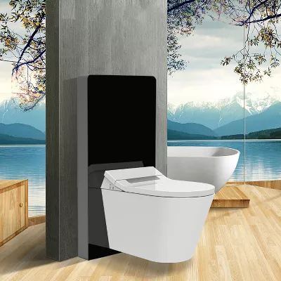 electronic bidet toilet seat