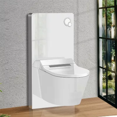 electronic bidet toilet seat