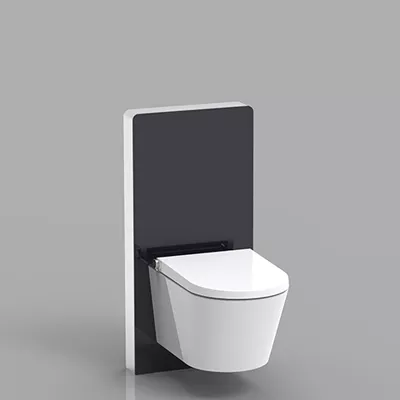 electronic bidet toilet seat
