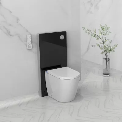 electronic bidet toilet seat