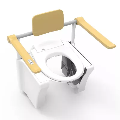 electronic bidet toilet seat